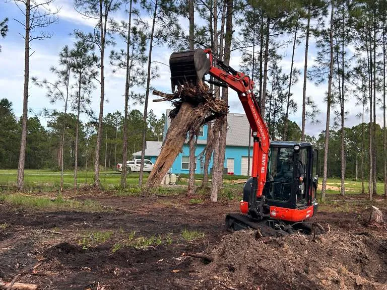 Orange compact excavator lifting a tree stump at a wooded jobsite.