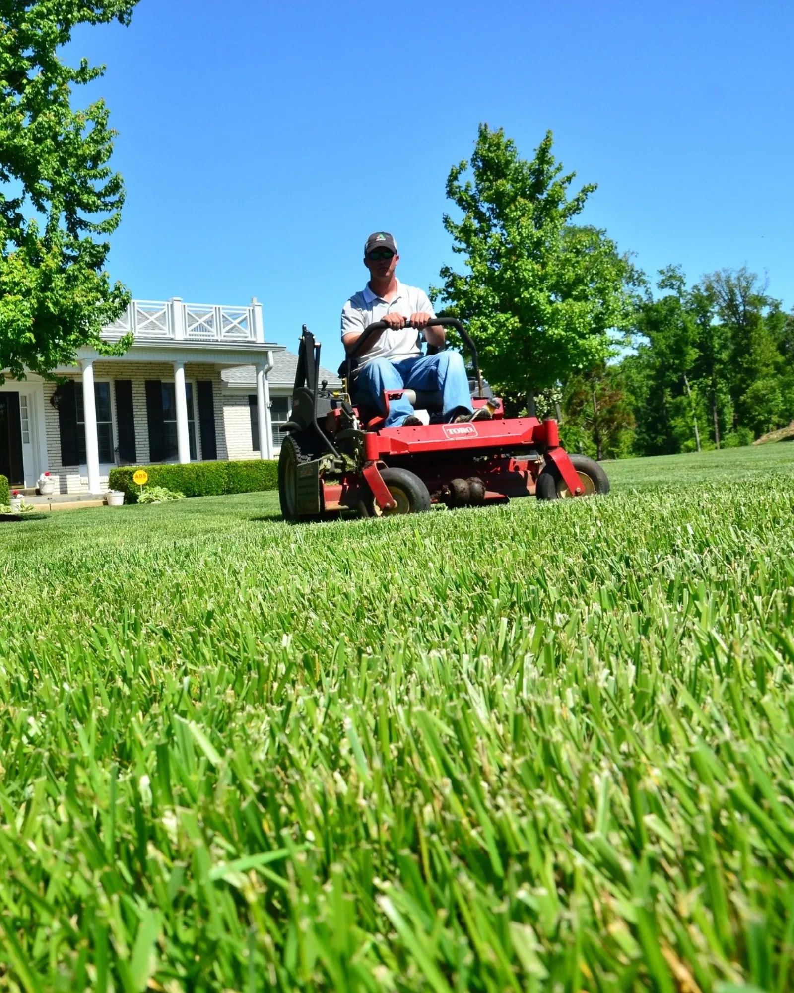 Person mowing a large residential lawn with a red riding mower